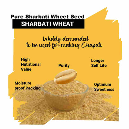 Vasani-G Sharbati Wheat ( Old Crop )